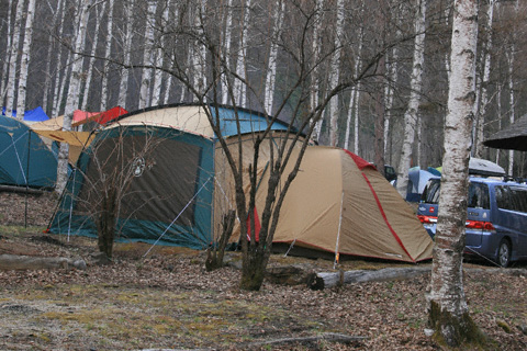 キャンプサイト