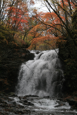 紅葉の浅間大滝